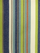 Dexter Multi Bella Dura Fabric